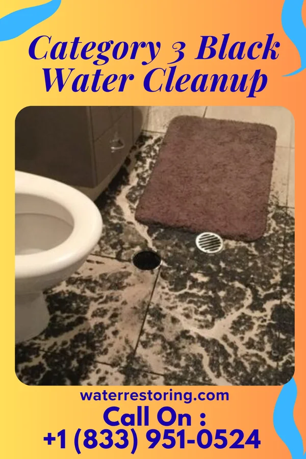 Category 3 Black Water Cleanup in Pondsville, MD