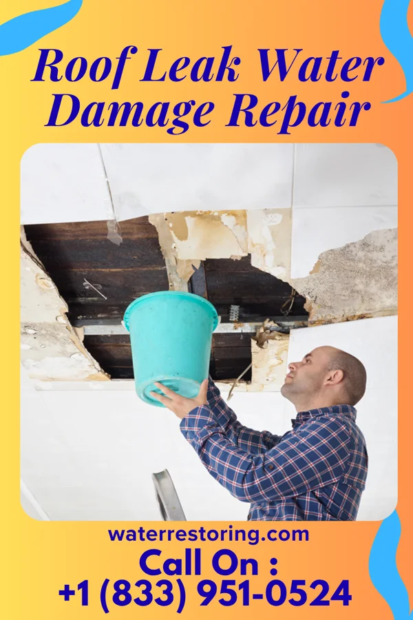 Roof Leak Water Damage Repair in Pondsville, MD