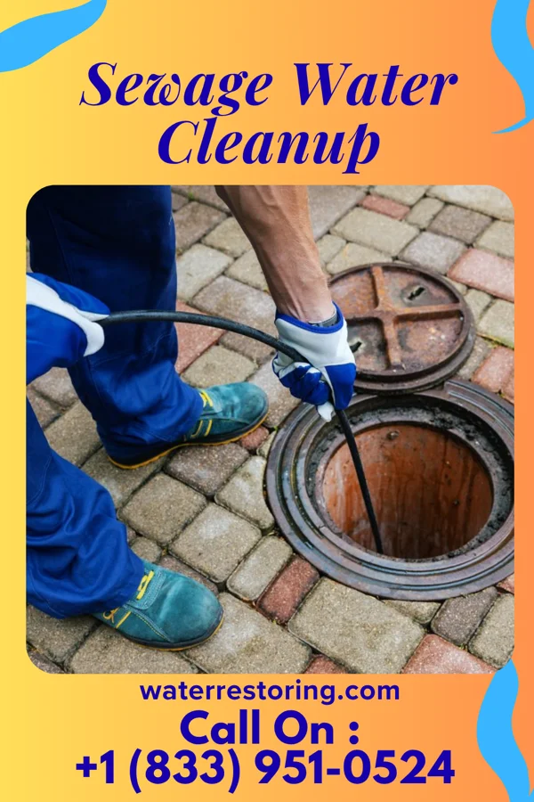 Sewage Water Cleanup in Pondsville, MD